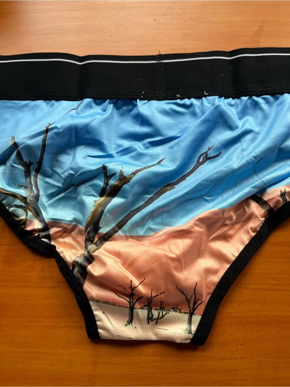 Dirt Squirrel Men’s Desert Graphic Briefs